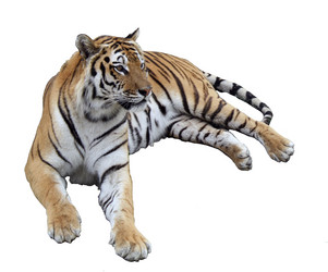 Similar image 445126