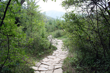 Similar image 445133