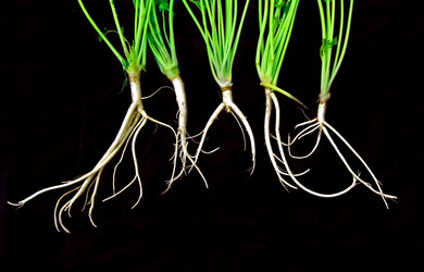 Similar image 445137