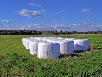 Similar image 445139