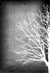 Similar image 445144