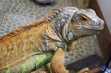 Similar image 445146