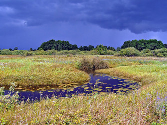 Similar image 445182