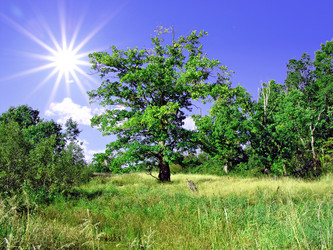 Similar image 445187