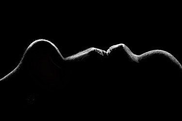 Similar image 445189