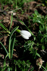 Similar image 445228