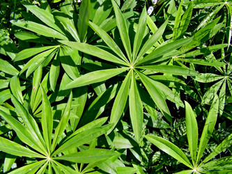 Similar image 445232