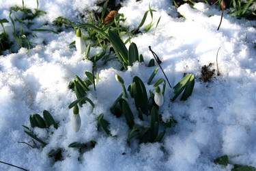 Similar image 445254