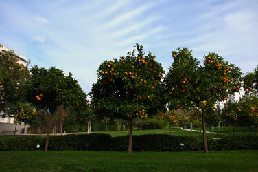 Similar image 445281