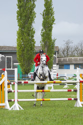 Similar image 445287