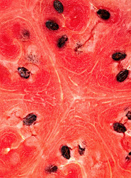 Similar image 445302