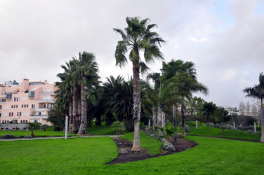 Similar image 445316