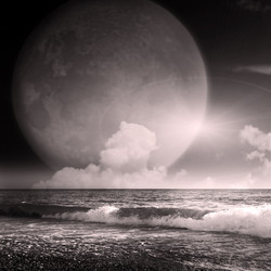 Similar image 445320