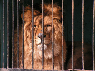 Similar image 445335