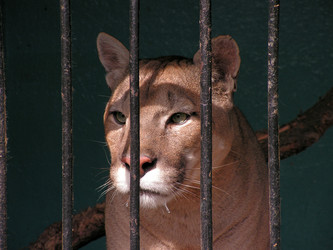 Similar image 445339