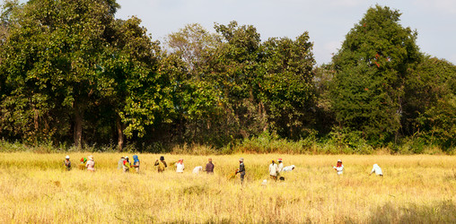 Similar image 445405