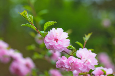 Similar image 445416