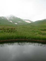 Similar image 445452