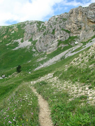 Similar image 445471