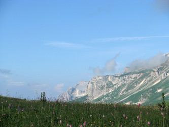 Similar image 445472