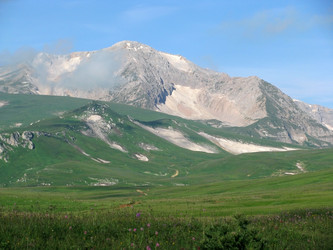 Similar image 445474