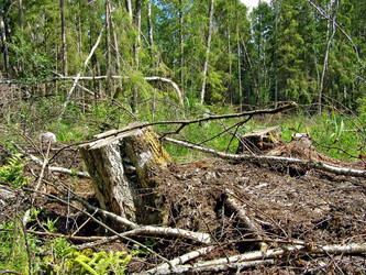 Similar image 445533