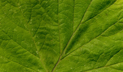 Similar image 445583