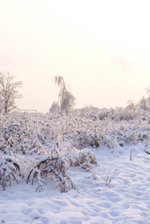 Similar image 445603