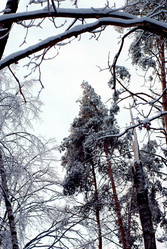 Similar image 445607