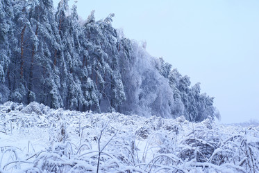 Similar image 445612