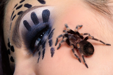 Similar image 445637