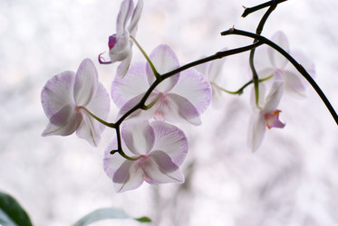 Similar image 445660