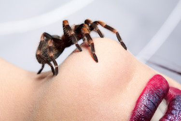 Similar image 445667