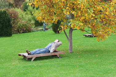 Similar image 445671