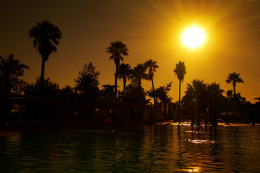 Similar image 445700