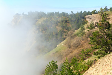 Similar image 445790