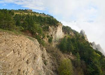 Similar image 445791