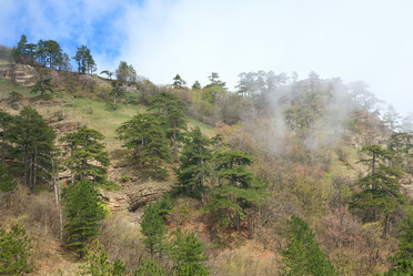 Similar image 445792