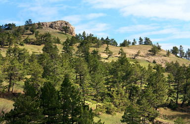 Similar image 445793