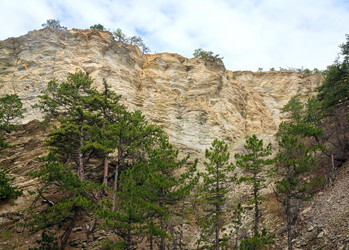 Similar image 445795