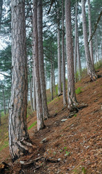 Similar image 445810