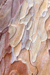 Similar image 445817