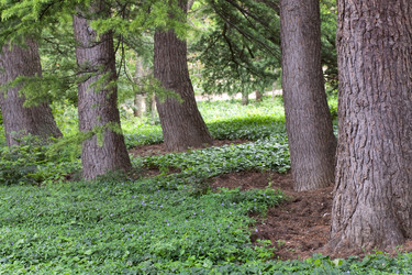 Similar image 445829