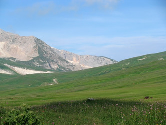 Similar image 445860