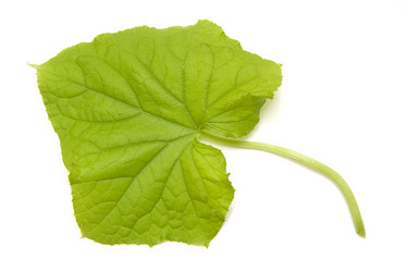 Similar image 445876