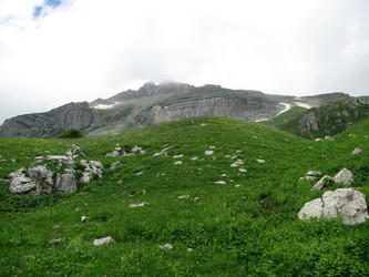 Similar image 445881