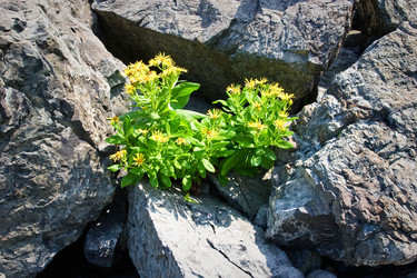 Similar image 445886