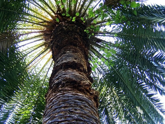 Similar image 445893