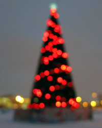 Similar image 445898