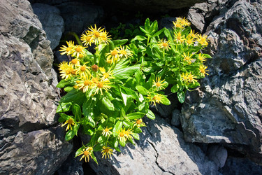 Similar image 445899